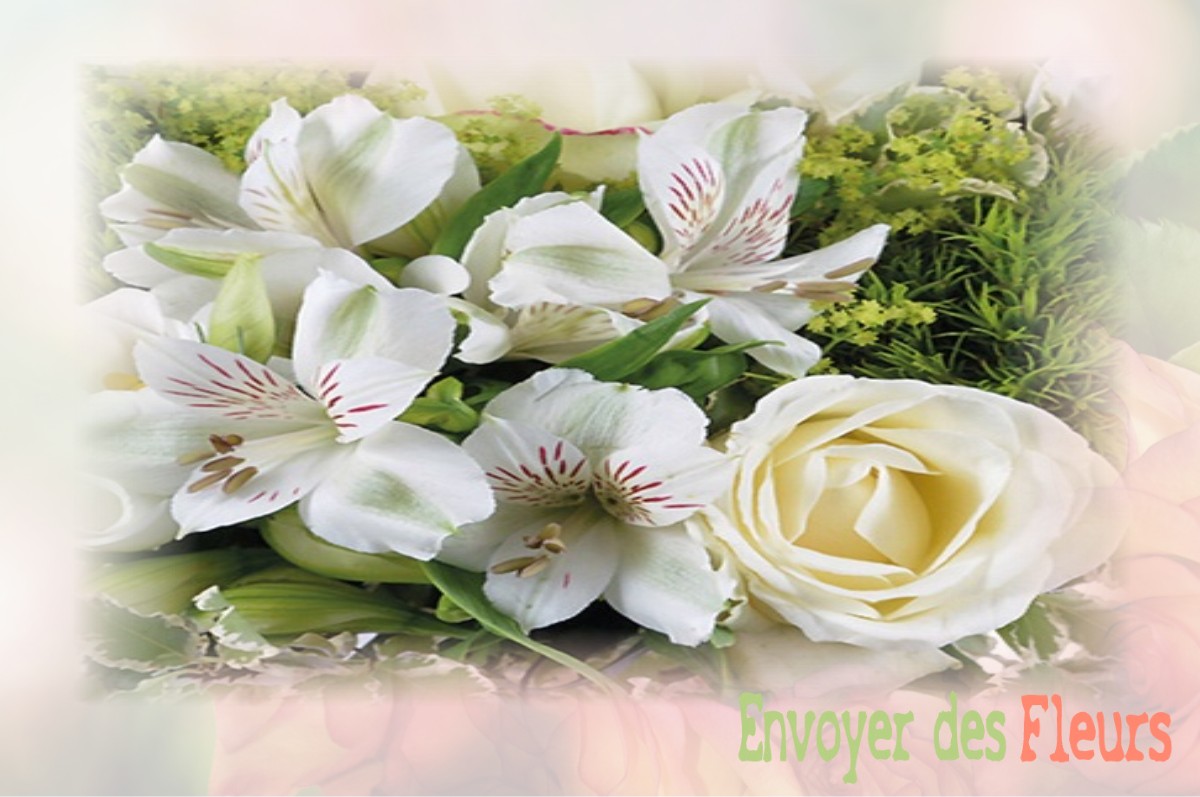 envoyer des fleurs à à ROYERE-DE-VASSIVIERE